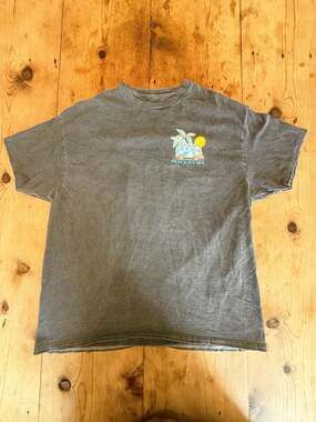 Outer Banks Stonewash Gray Surf Van Graphic T-Shirt Puff Lettering Size Large